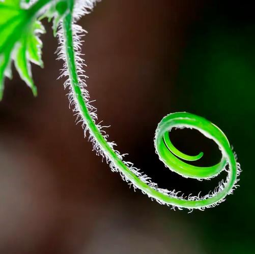 鼠目寸光之美  第1张