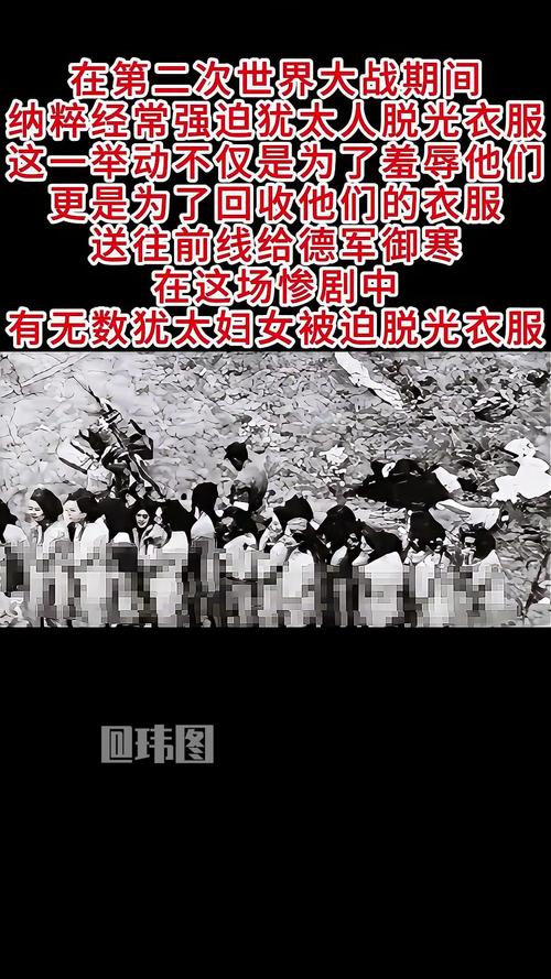 脱掉人类的外衣  第1张