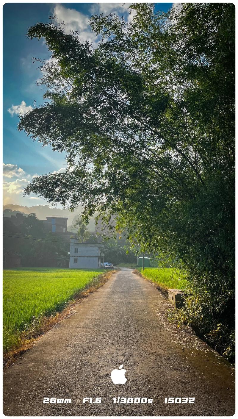 故乡的原风景  第1张