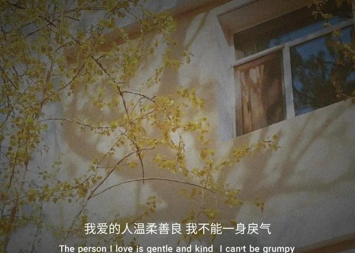 站在青春的末端  第1张