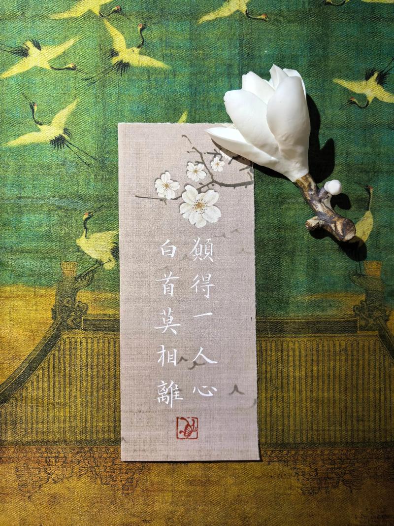 文字的魅力  第1张