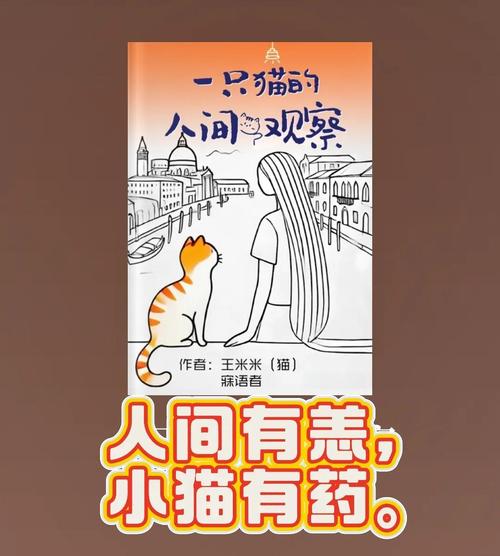 流浪，是一种重生  第1张