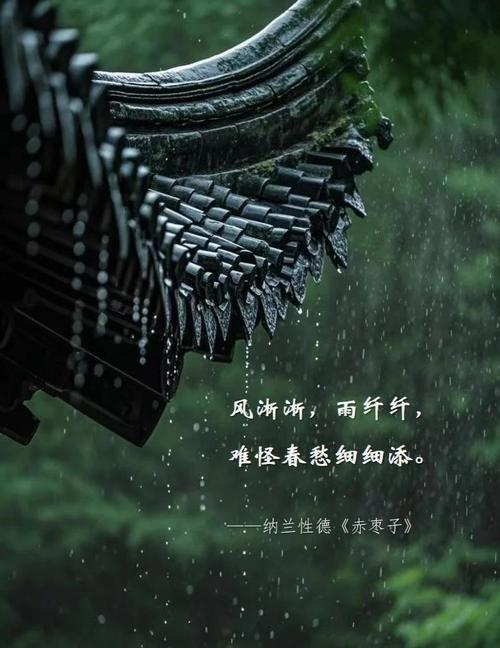 躲不过的雨季  第1张