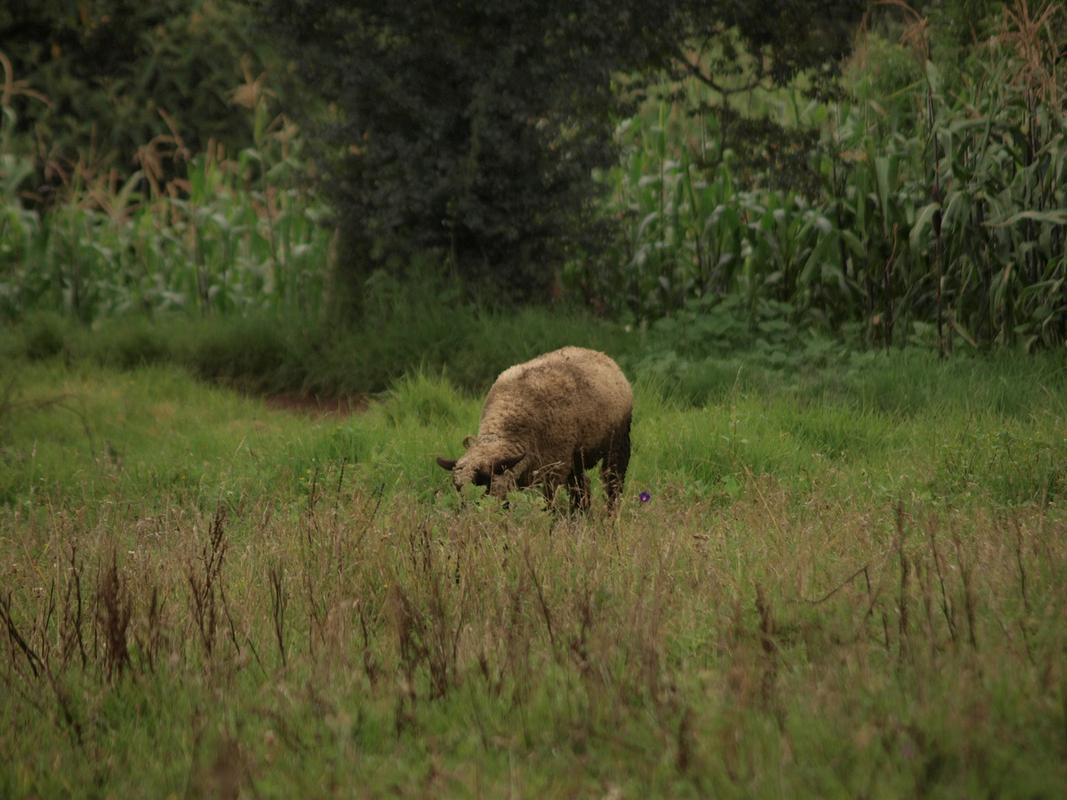 敏锐的观察力很重要  第1张