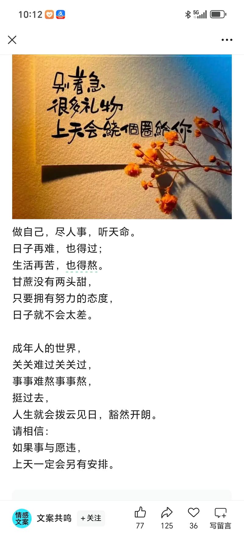 感受生活,正能量文案 第1张 感受生活,正能量文案 第1张