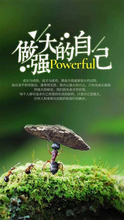 我最喜欢的、最激励我的三句正能量名言  第1张