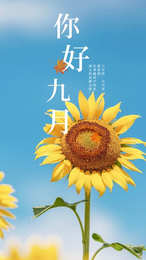 八月再见，九月你好唯美文案，总有一句适合你  第1张