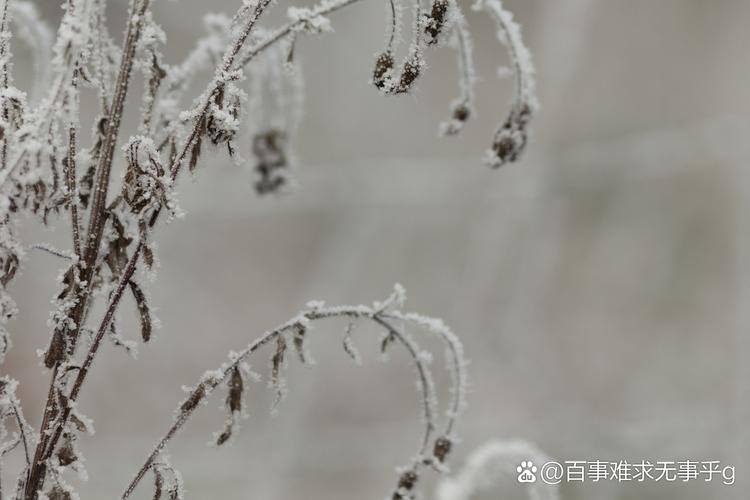 冬的脚步近了  第1张