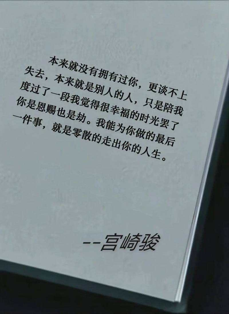 失去的时光  第1张