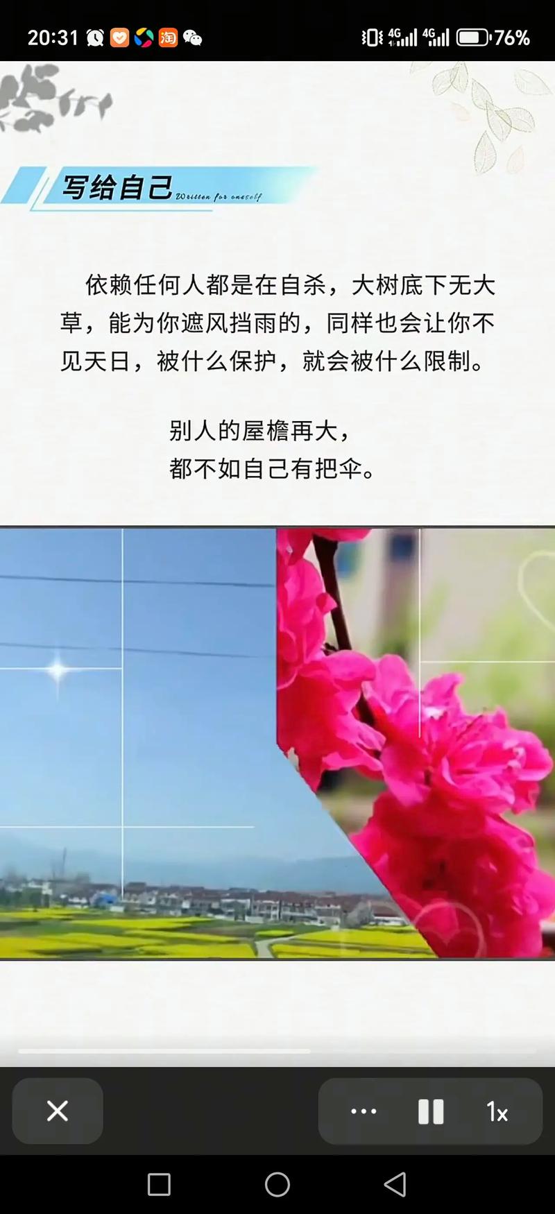 蓦然回首人已中年 第1张 蓦然回首人已中年 第1张