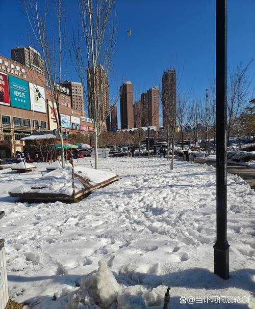 好大一场雪 第1张 好大一场雪 第1张