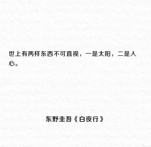 东野圭吾《恶意》摘抄向：原罪被放大，总有一角照出自己  第1张