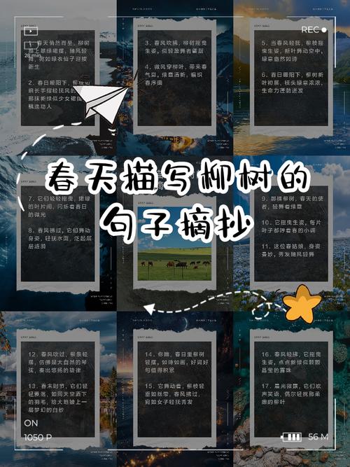 描写春天的优美语句摘抄  第1张