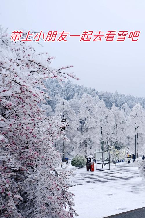 看雪  第1张