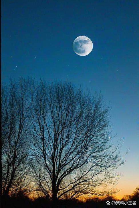 苍凉中的恬静  第1张