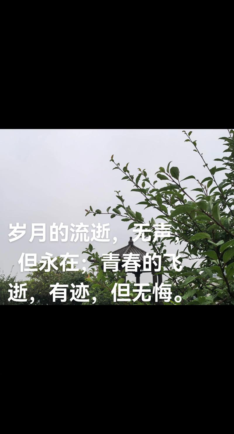 时光如梭，青春难再  第1张