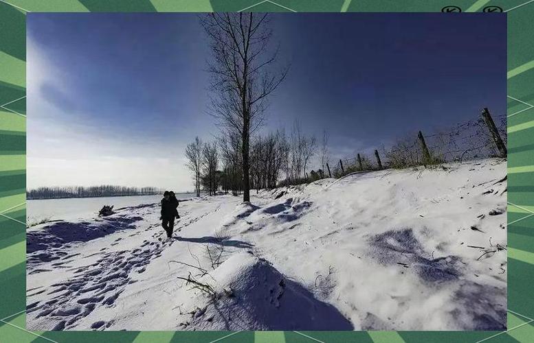 冷峻冬日  第1张