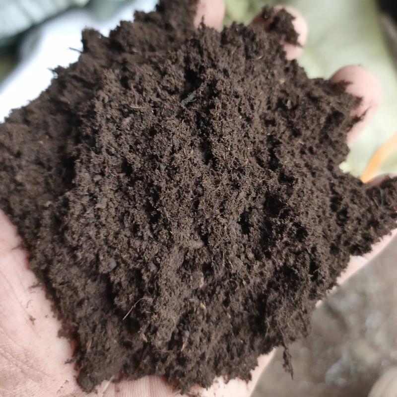 尘埃和土 第1张 尘埃和土 第1张