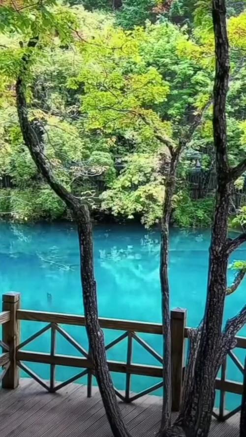 山中邂逅  第1张