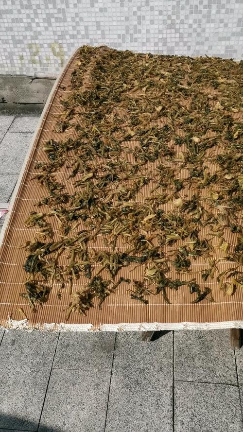晒干菜  第1张