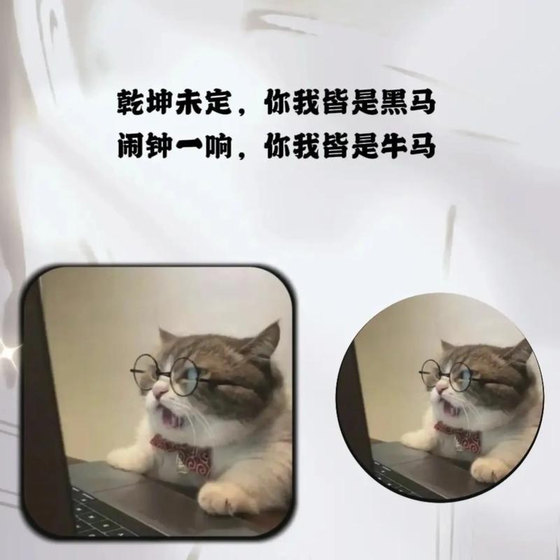 奋斗时期的治愈短句，乾坤未定，你我皆是黑马，加油  第1张