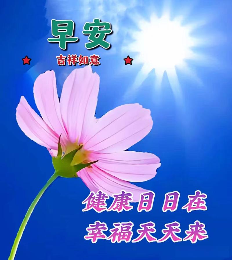 最新早上好唯美问候免打字漂亮图片带字创意早安句子  第1张