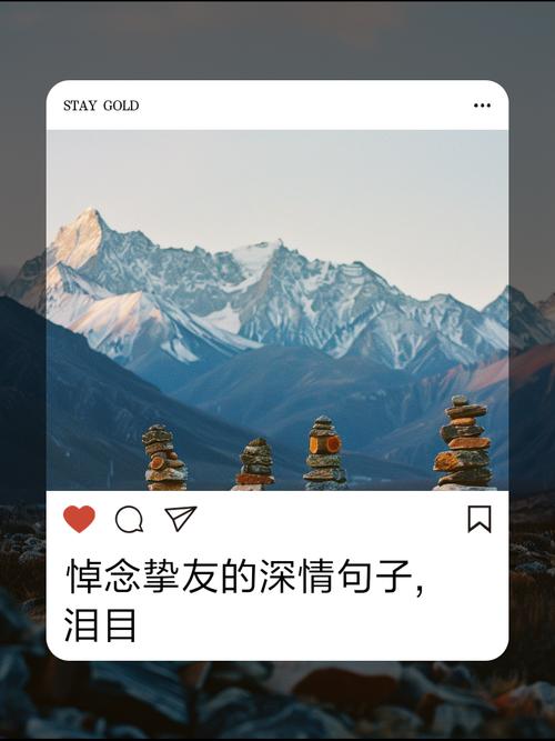 永不忘记海外挚友  第1张