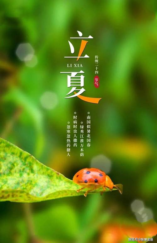 明日立夏,老祖宗留下的关于立夏的6句俗语,每一句都饱含智慧 第1张 明日立夏,老祖宗留下的关于立夏的6句俗语,每一句都饱含智慧 第1张