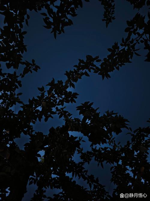 不刻意黑夜 第1张 不刻意黑夜 第1张