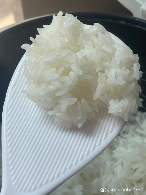 咧嘴笑的白米饭 第1张 咧嘴笑的白米饭 第1张