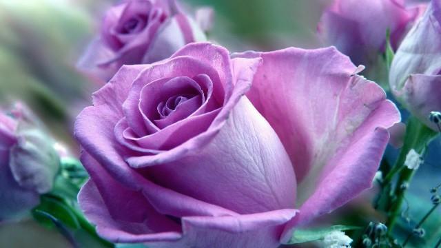 带上好心情回家 第1张 带上好心情回家 第1张