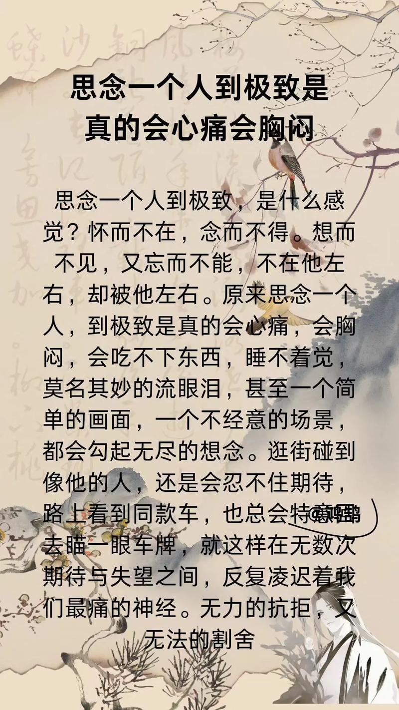 品读那一份思念  第1张