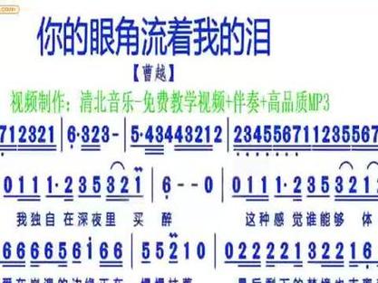 你的眼角流着我的泪  第1张