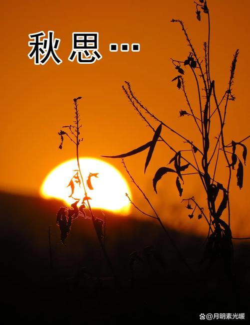 秋天，当见故人  第1张