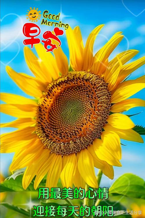 携一缕阳光，伴一片光明，向上向善，微笑向暖，早安  第1张