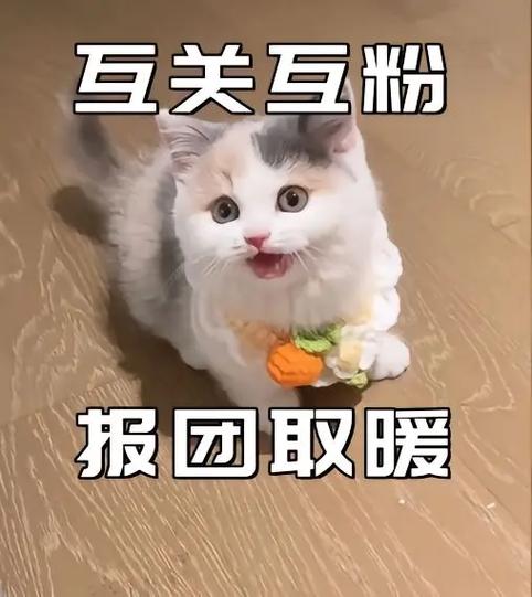 希望善良的友友们支持，让我尽快达到100个粉丝，大家一起加油  第1张