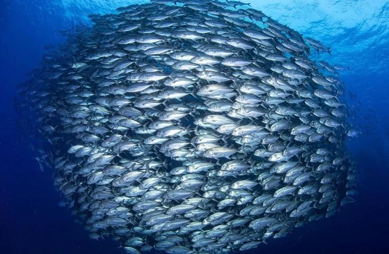 记忆里的那抹深蓝  第1张