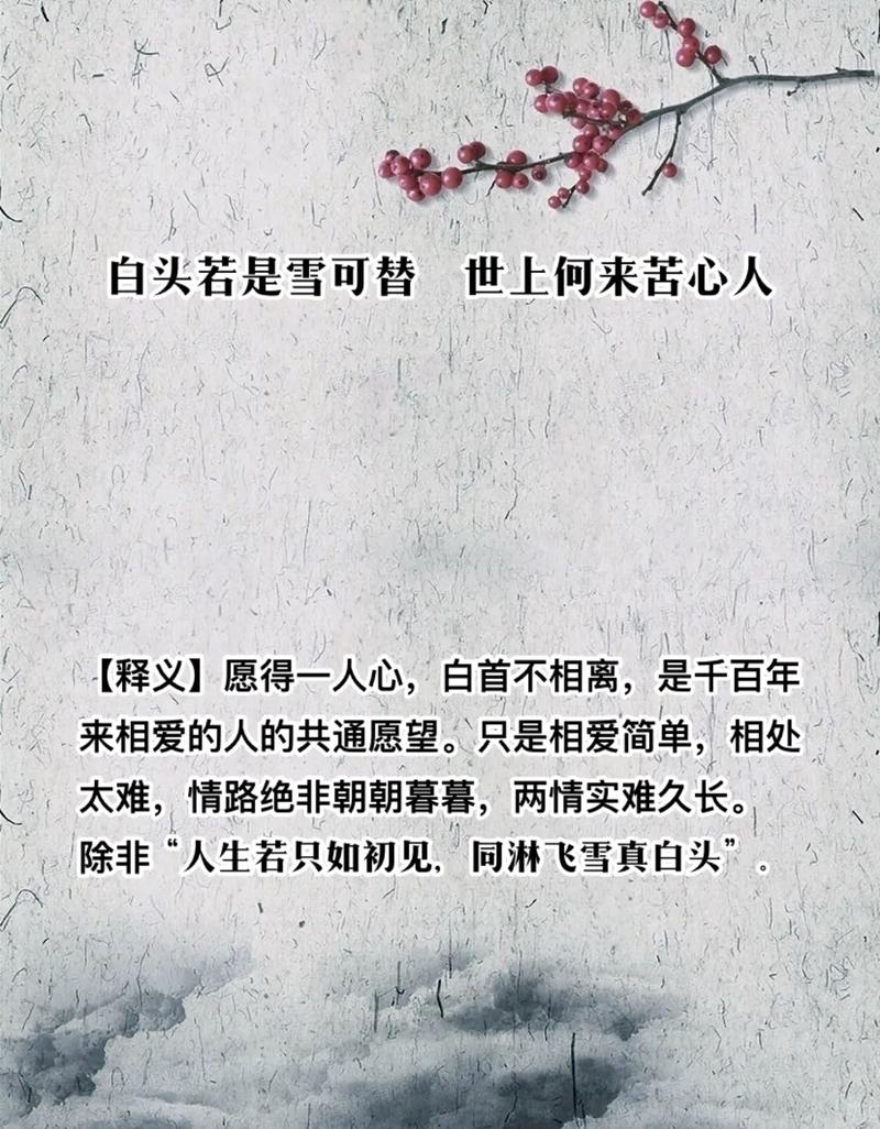 暮雪白头，爱意深沉  第1张