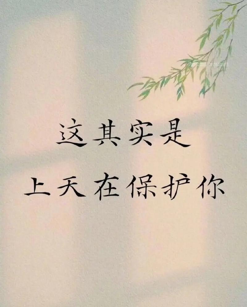 相遇并非偶然，冥冥之中命运自有安排  第1张