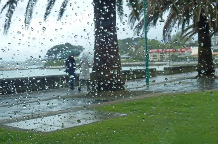 冬雨的思念 第1张 冬雨的思念 第1张