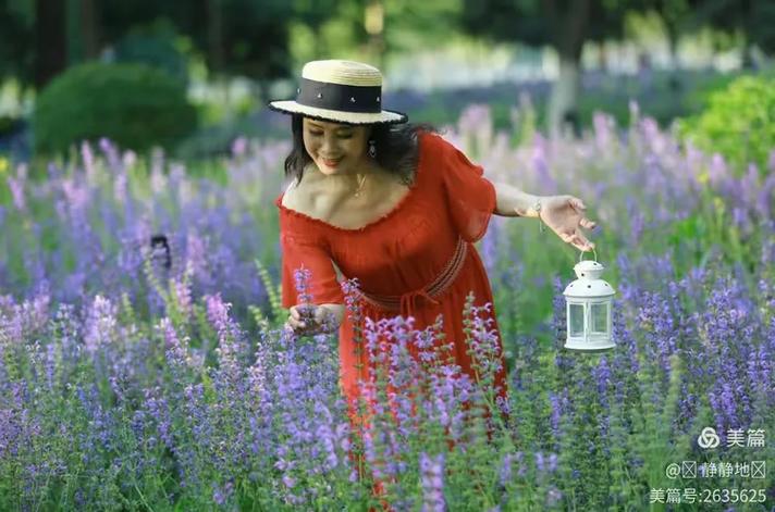 一份柔情把心儿灌溉  第1张