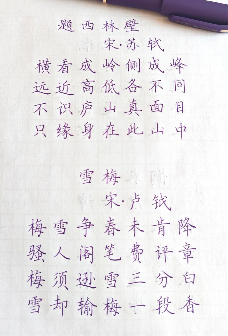 银碗盛雪寸心斩，一念天涯零落无  第1张