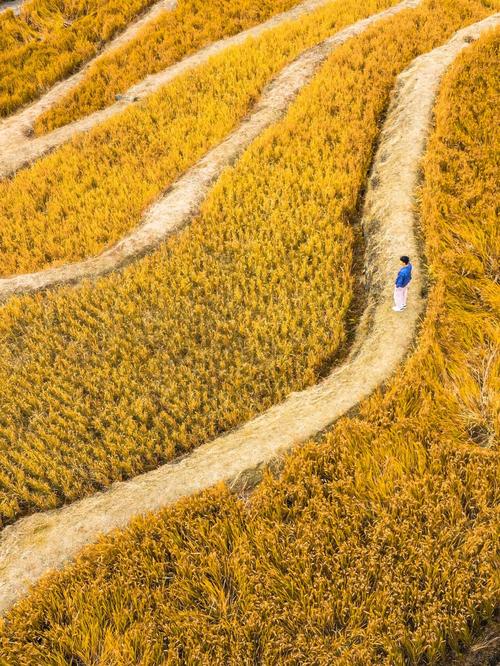 也说秋天  第1张