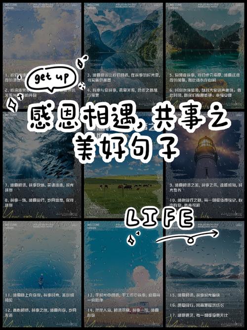 感恩岁月，感谢美好相遇  第1张