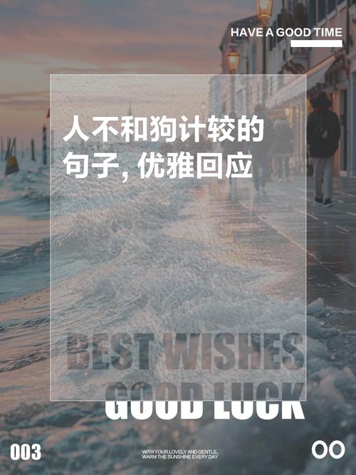 最新人生感悟的经典好句子，不和别人比较，不和自己计较  第1张