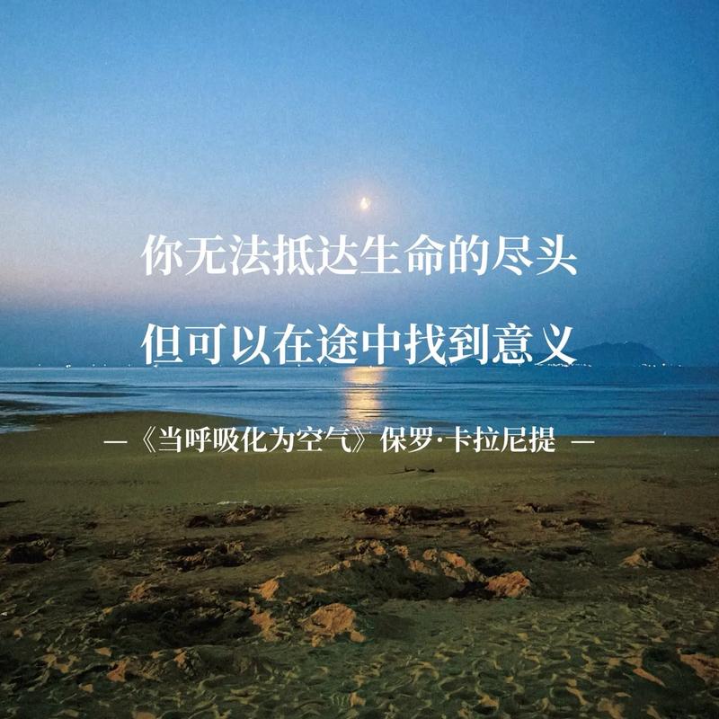 生命的开始与尽头 第1张 生命的开始与尽头 第1张