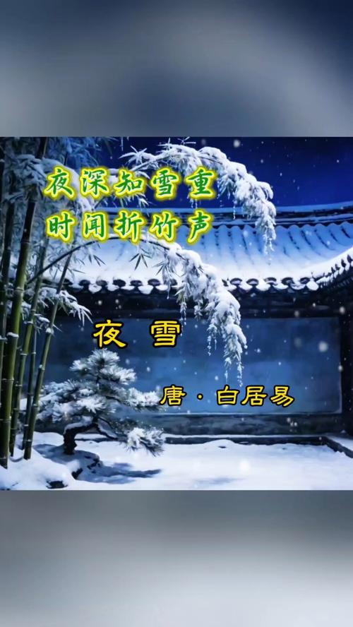 落雪轻逝，夜凉如水  第1张