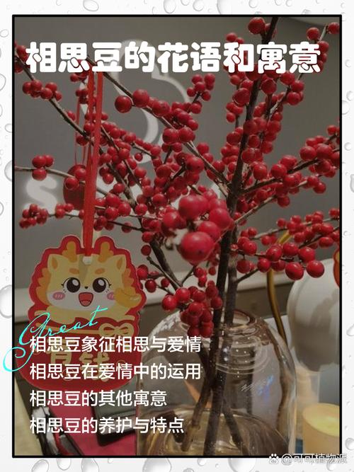 相思血泪与相思豆  第1张