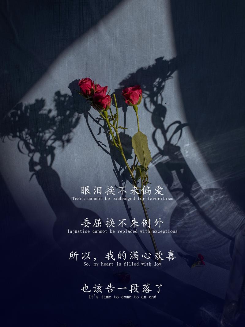 爱在离别相思时、这离别虽然让人心痛、在这孤独中明白了思念、  第1张