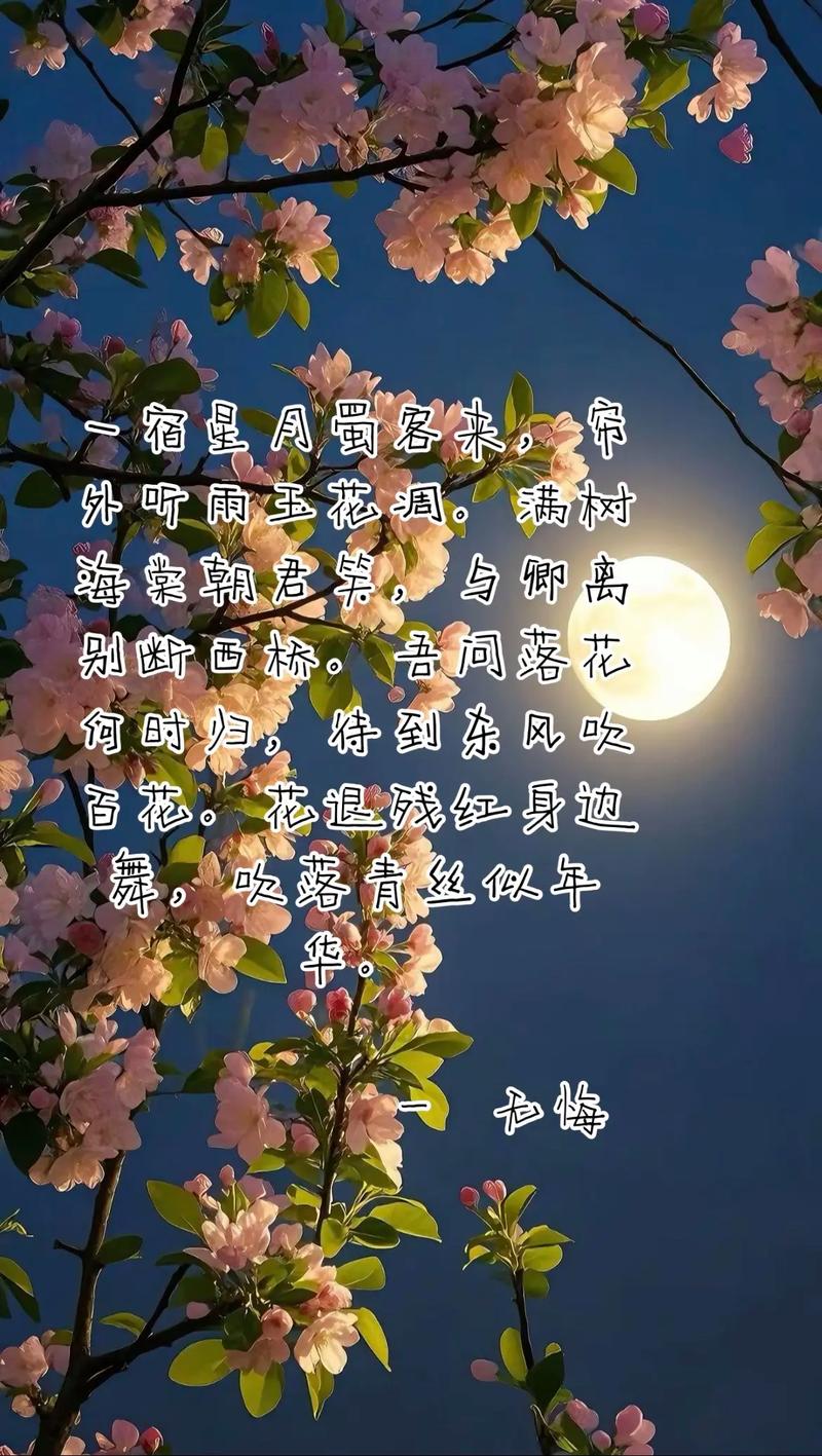 若见花开,聆风待葬,谁许你一世欢颜,谁伴你红尘清欢 第1张 若见花开,聆风待葬,谁许你一世欢颜,谁伴你红尘清欢 第1张